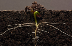 土壤水分測(cè)定站要如何維護(hù)？